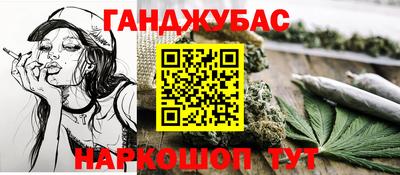 шишки Усть-Илимск