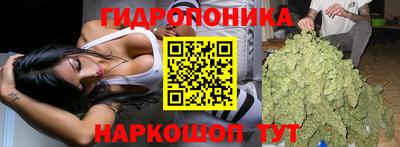 шишки Усть-Илимск