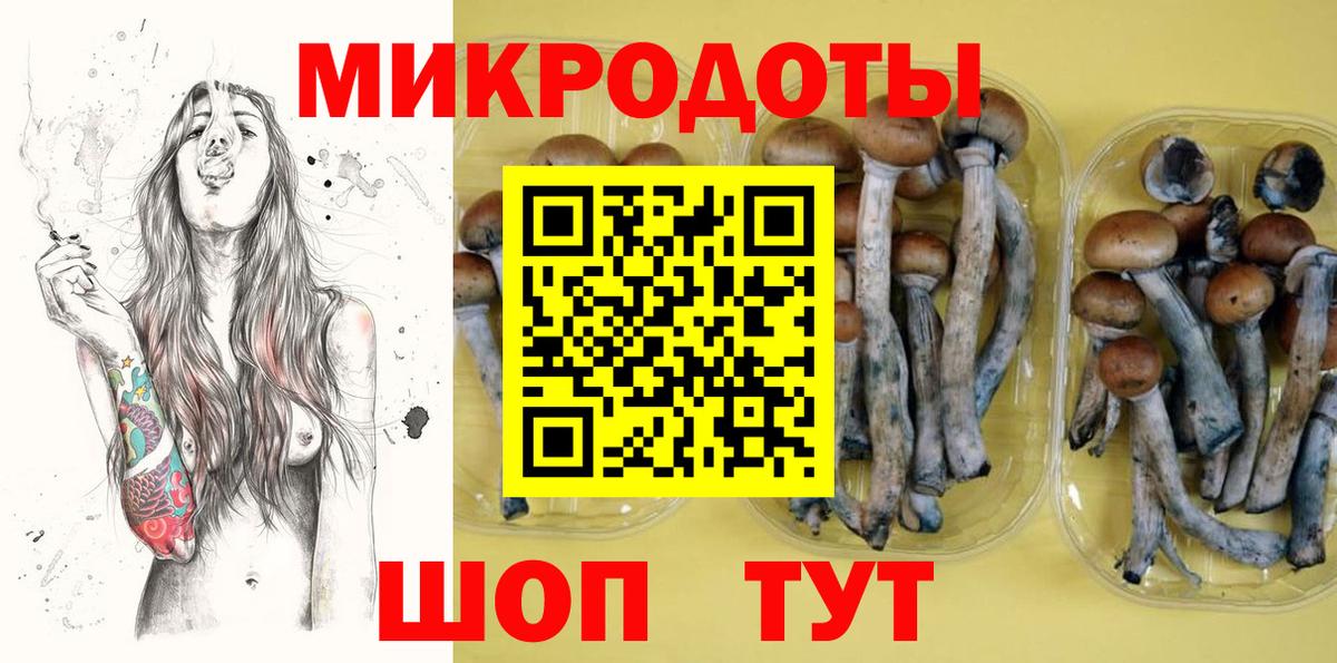 Назарово  Псилоцибиновые грибы Cubensis  Псилоцибиновые грибы прущие грибы  Вход с VPN 