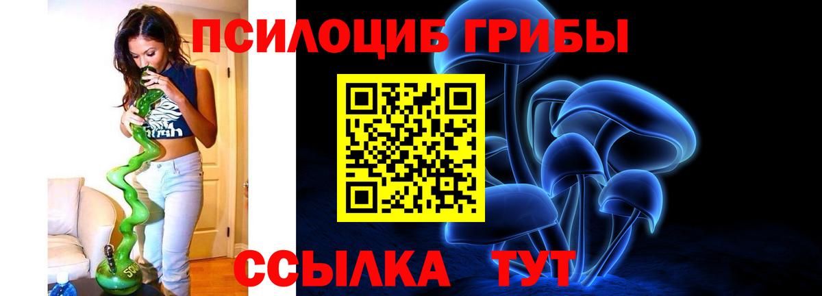 Псилоцибиновые грибы GOLDEN TEACHER Назарово